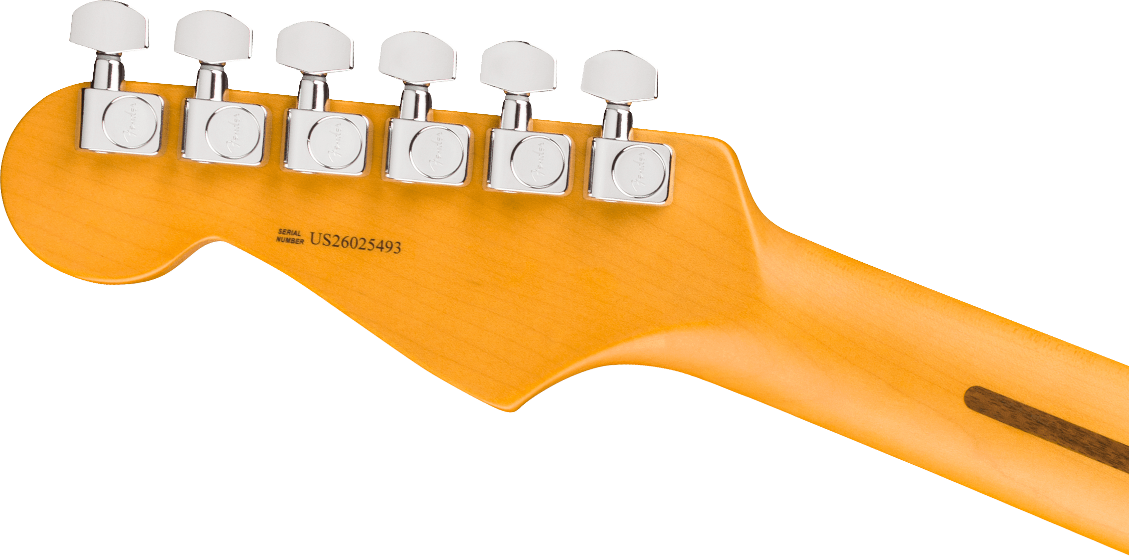 AMERICAN PROFESSIONAL STRATOCASTER HSS RW DK NIGHT Fender - Guitares électriques Stratocaster - Sonowest
