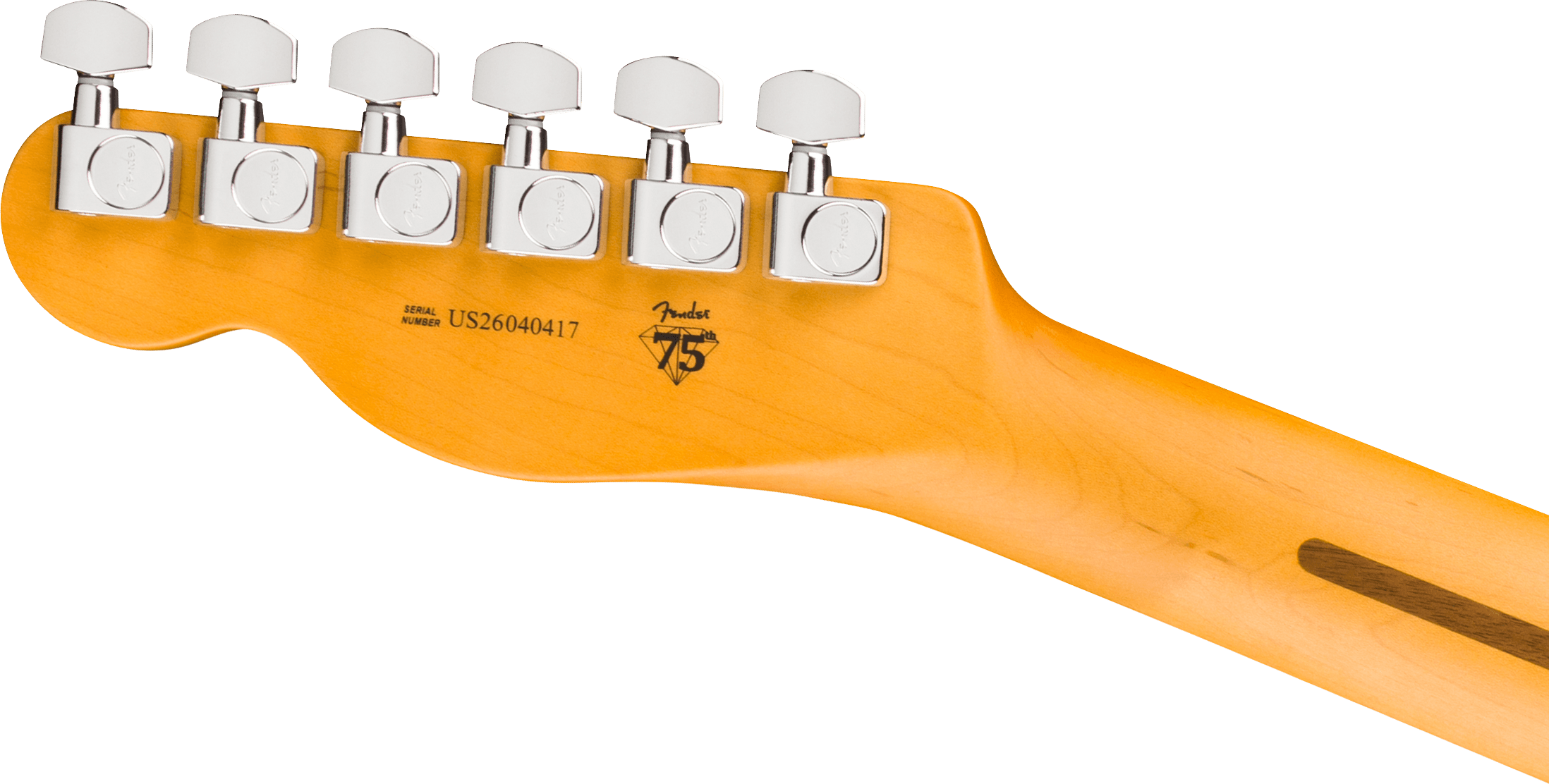 AMERICAN PROFESSIONAL TELECASTER RW OXB Fender - Guitares électriques Telecaster - Sonowest