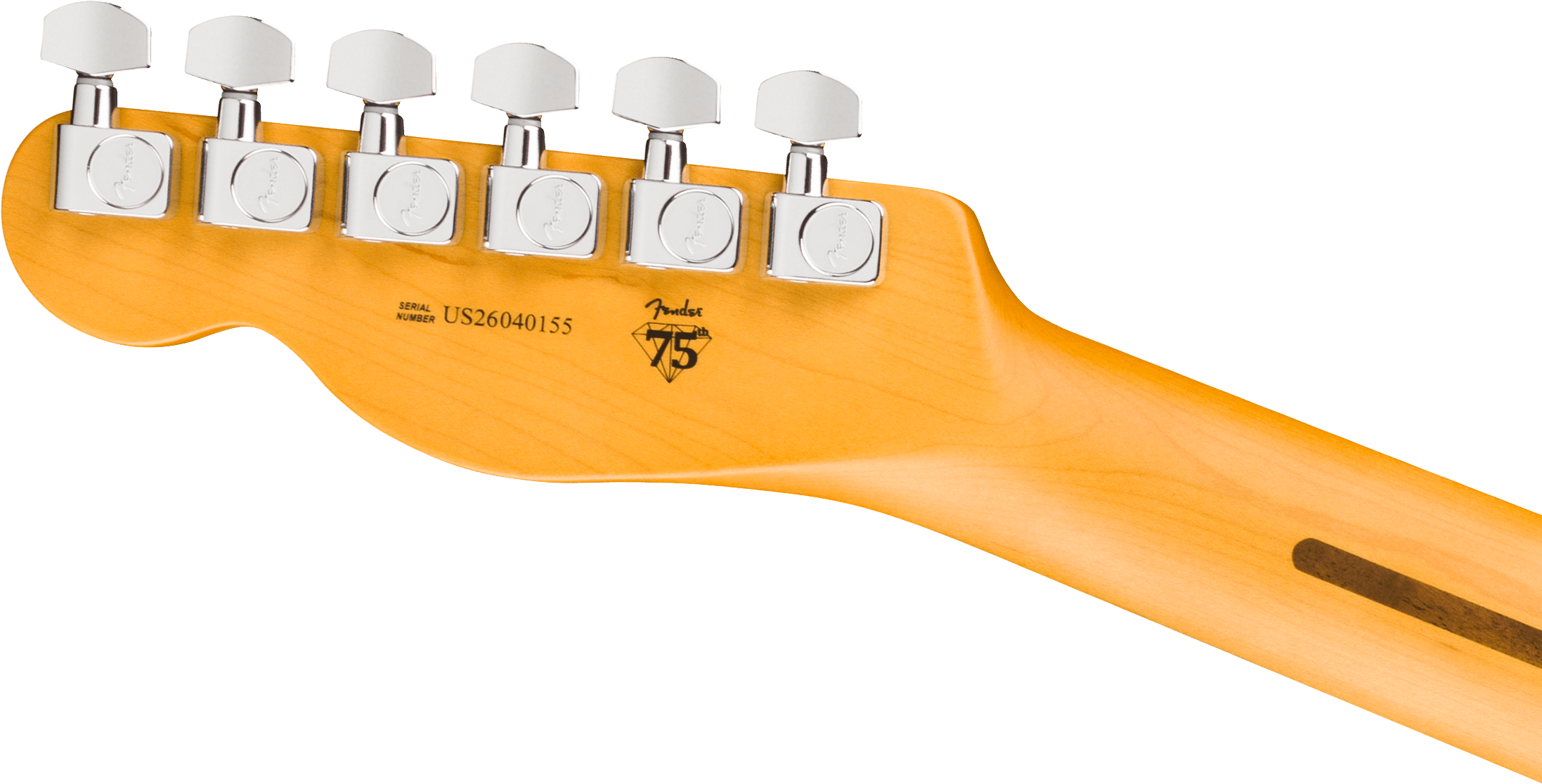 AMERICAN PROFESSIONAL TELECASTER RW DK NIGHT Fender - Guitares électriques Telecaster - Sonowest